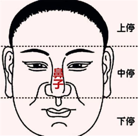 鼻子運勢|「面相」鼻為面王，鼻子看你性格和財運！